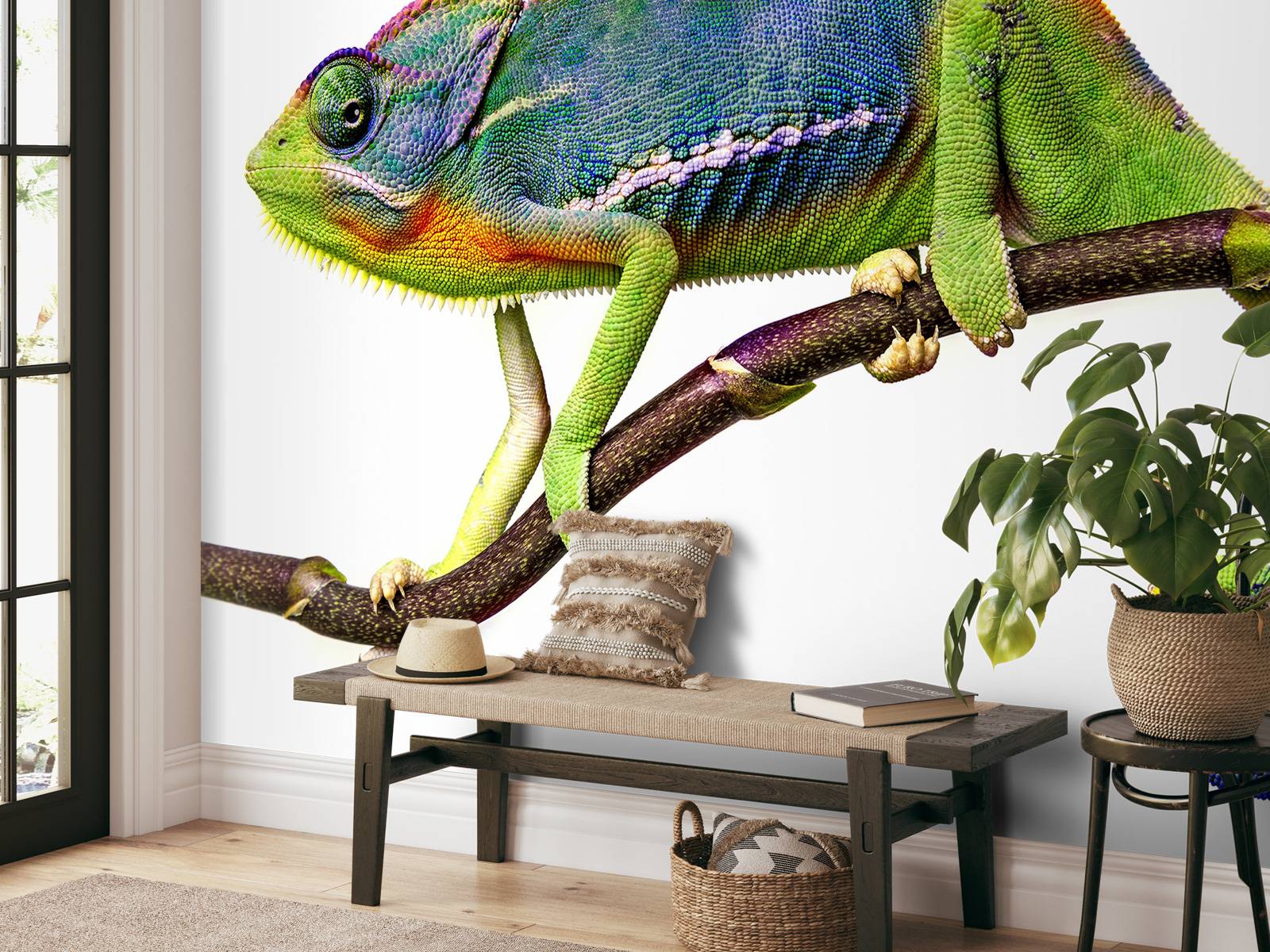 Chameleon