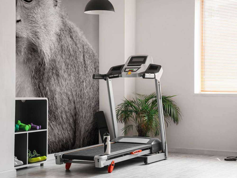 Schattig aapje in zwart-wit