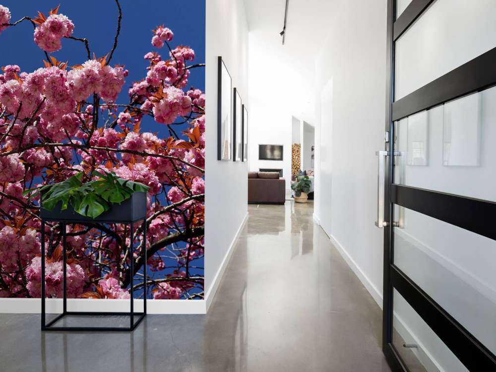 Pink blossom with blue sky