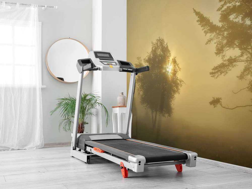 Zonsopkomst in de mist