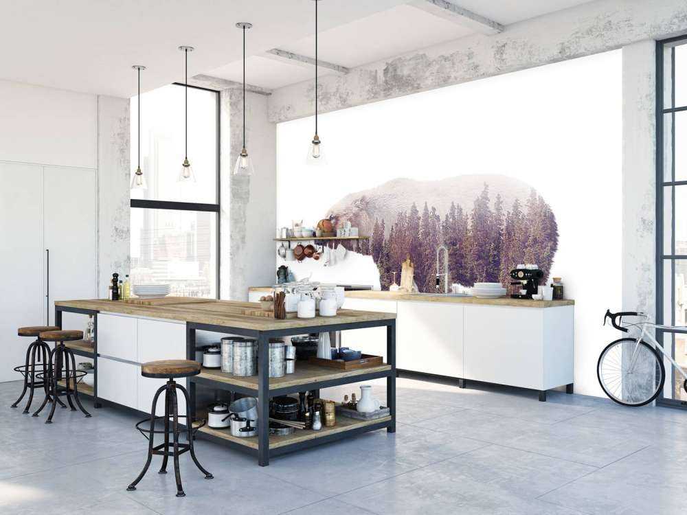 Beer op een wit achtergrond