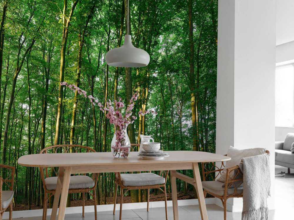 Green forest 
