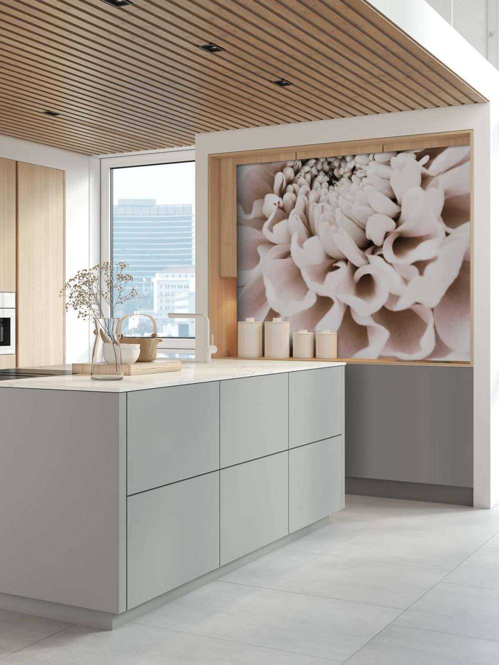 Chrysanthemum No 01