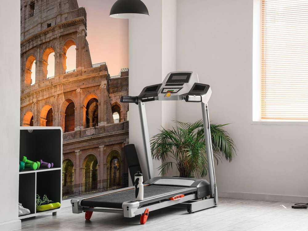 Colosseum at sunrise