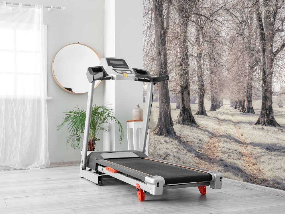 Tire tracks between the trees