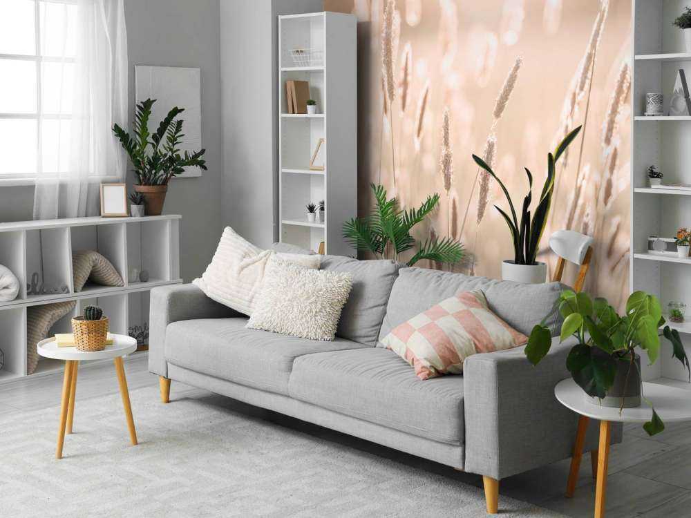 Sunlight through meadow