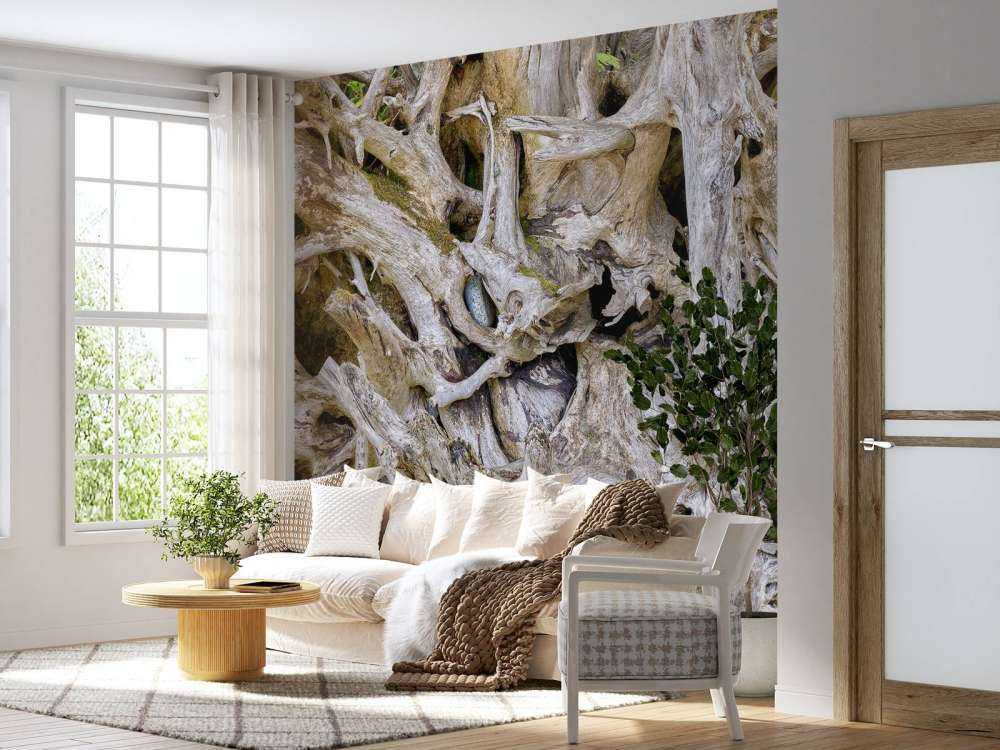 Tree roots 