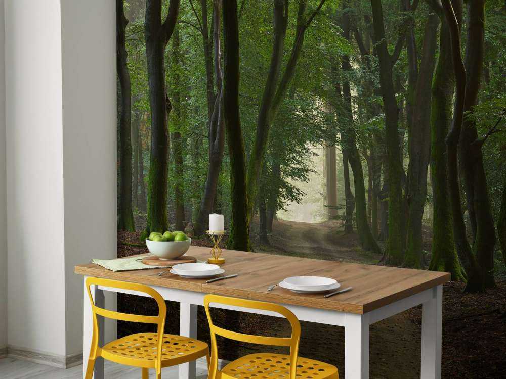 Sandpath in the forest