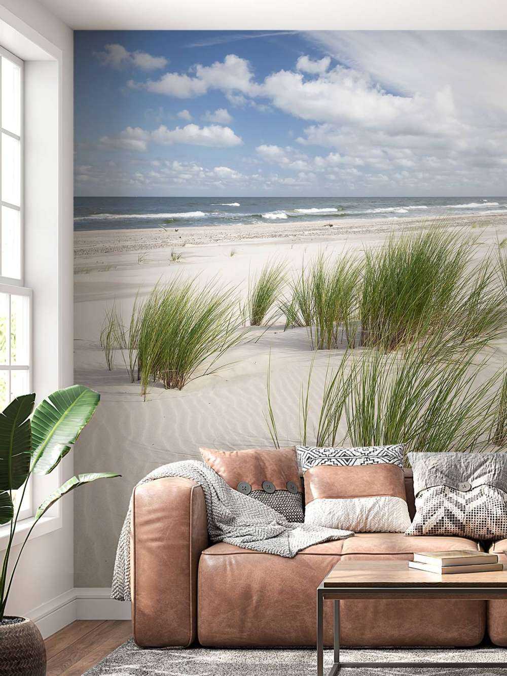 Beach with dune plants