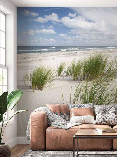 Beach with dune plants