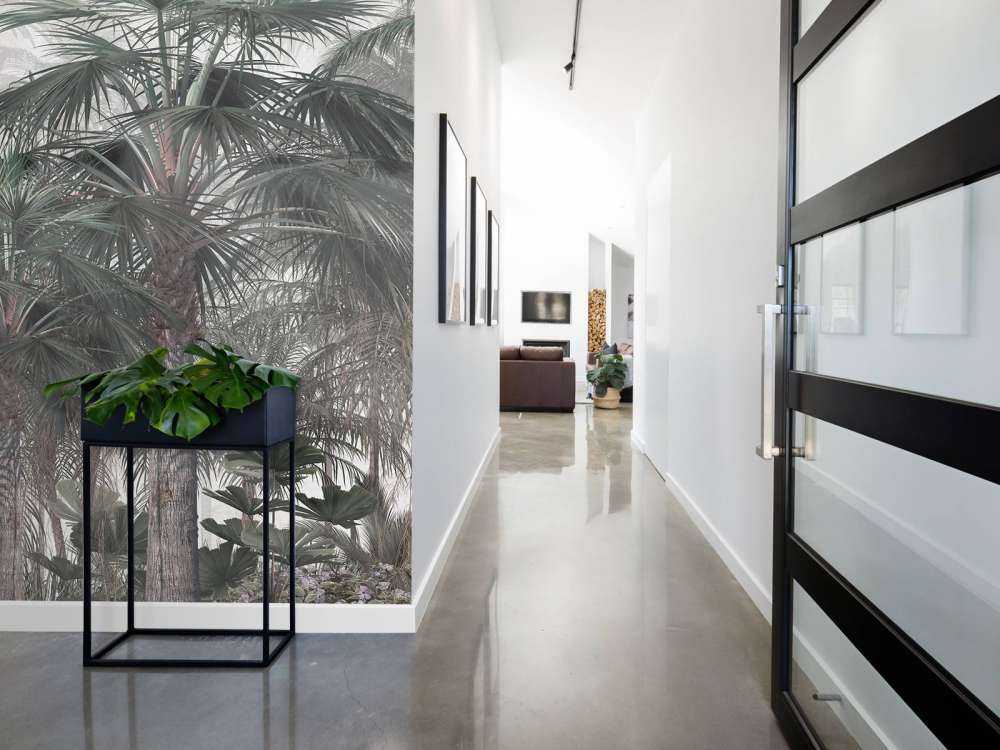 Twilight Palm Serenity