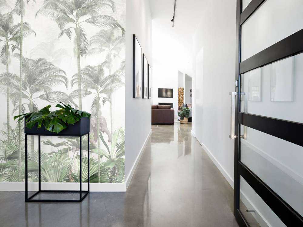 Dawn in the Wilderness