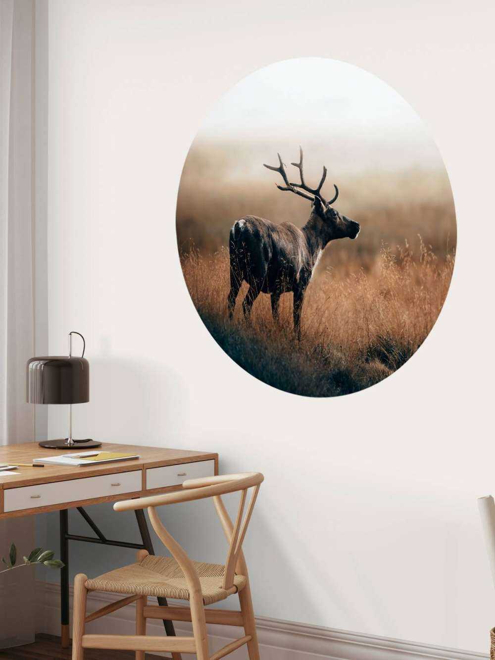 Reindeer in the high grass