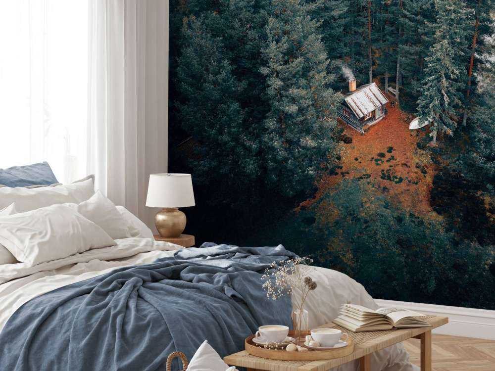 Cabin surrounded by forest and lakes