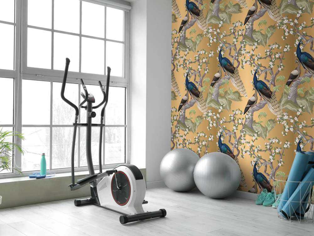 Peacock Whisper in Oasis