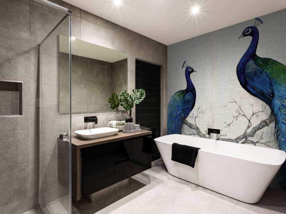 Symphony of Peacocks