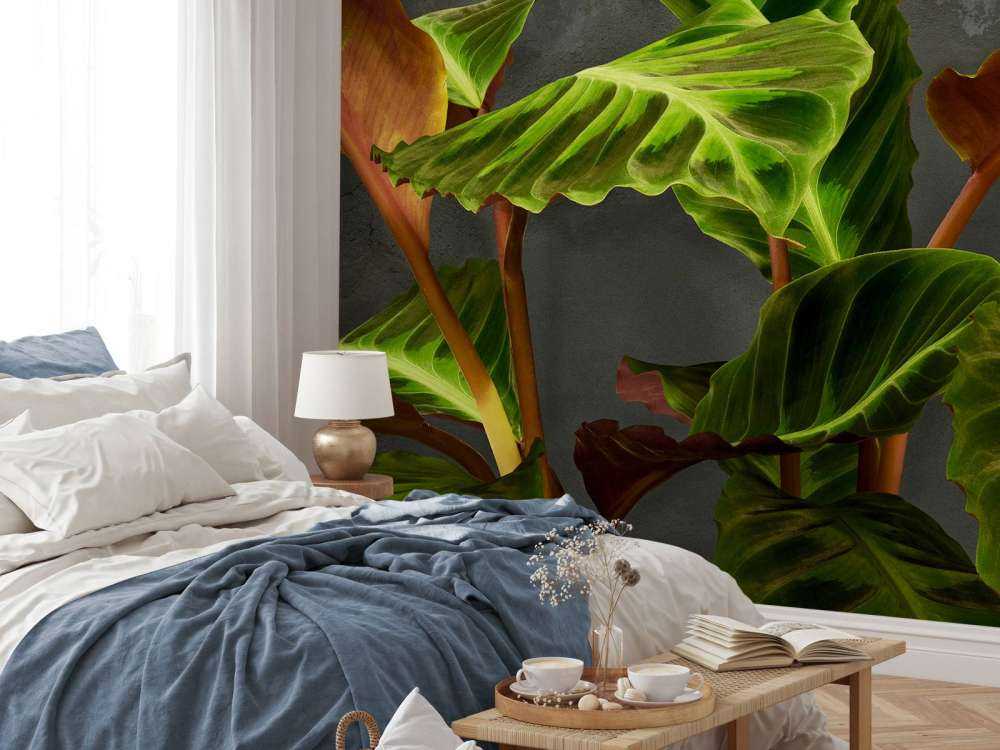 Plant with beautiful green leaves