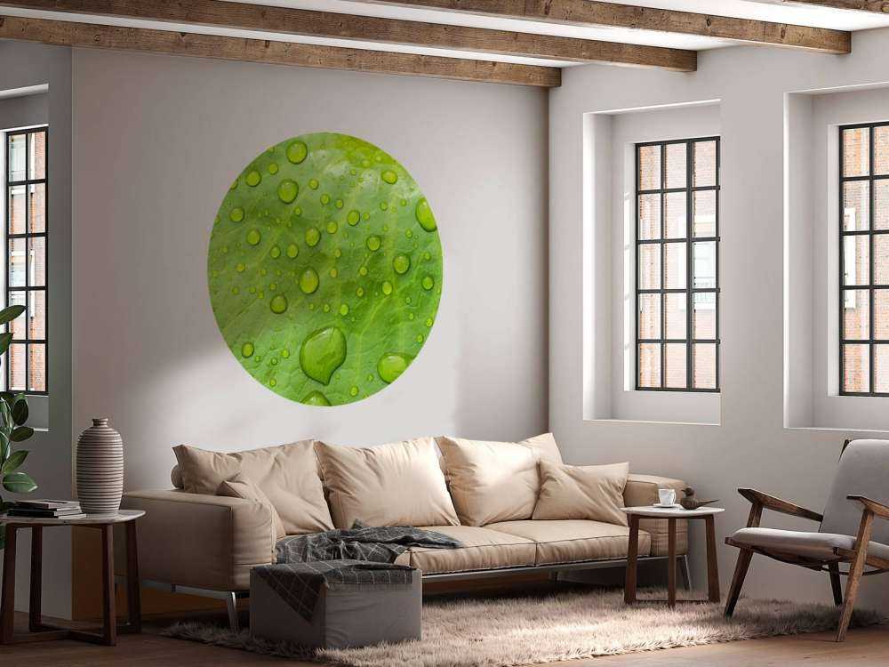 Blad met waterdruppels