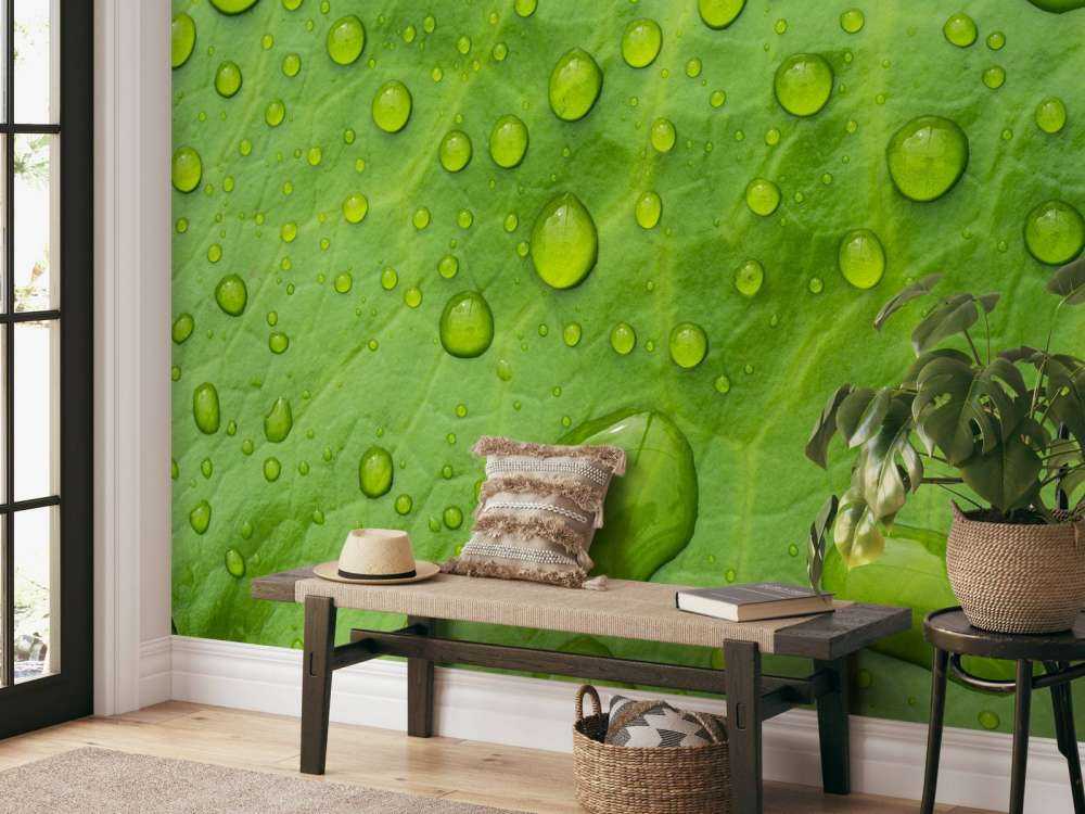 Blad met waterdruppels