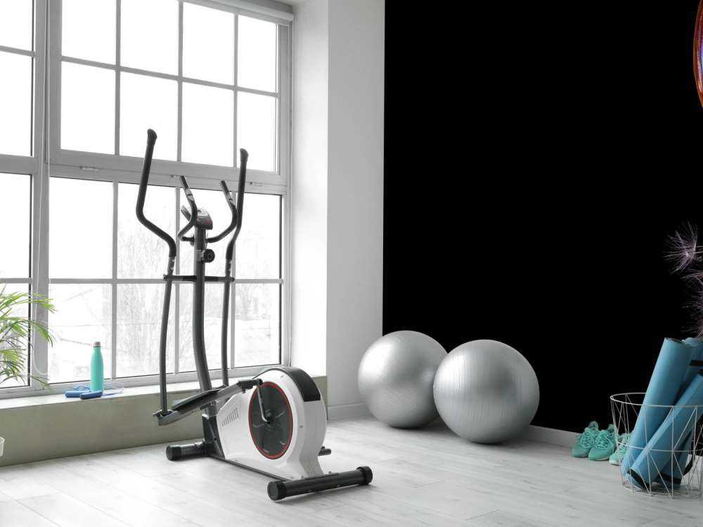 Blue butterfly on a dandelion