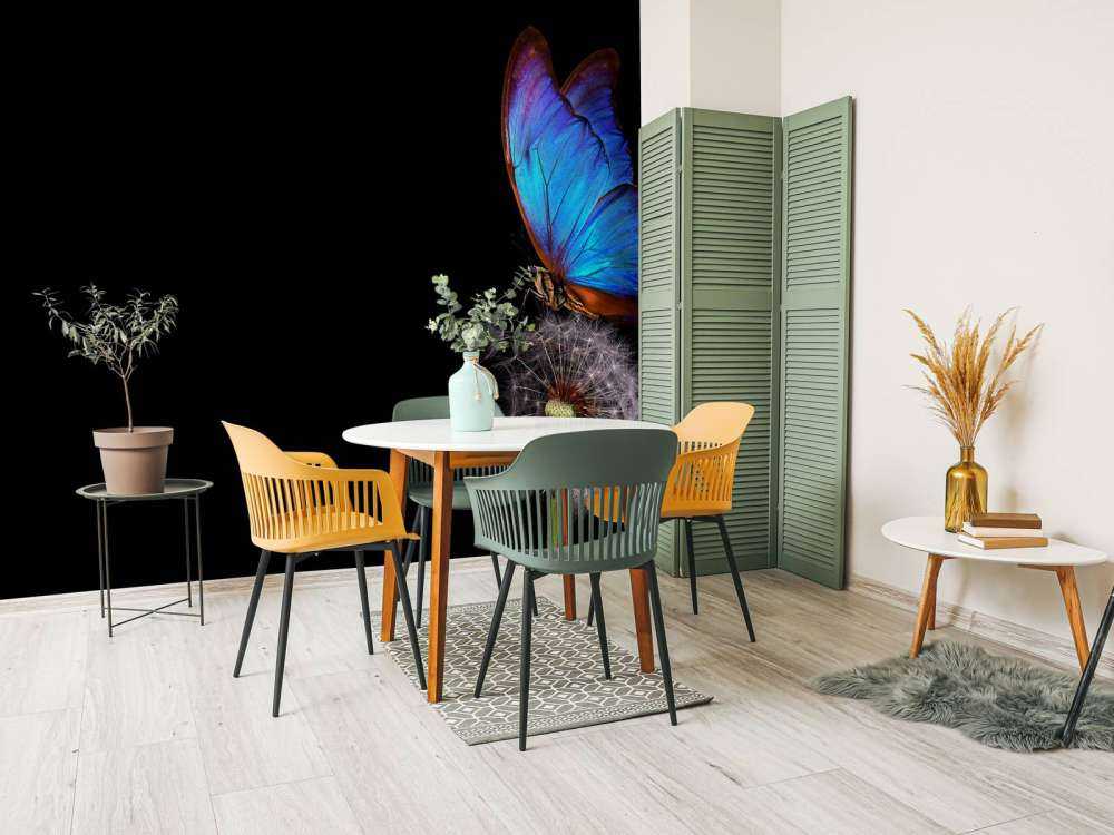 Blue butterfly on a dandelion