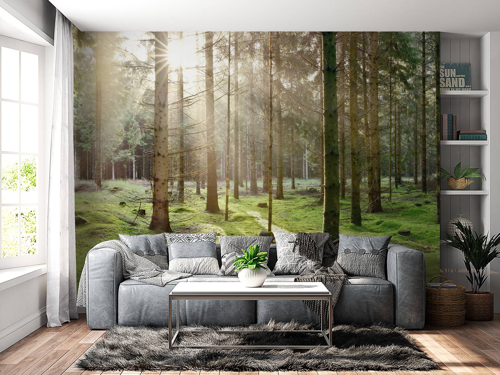 Coniferous forest with moss