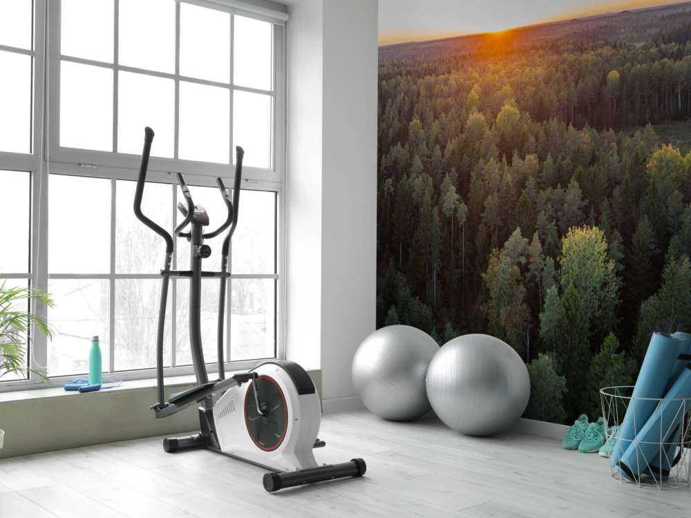 Aerial view of autumn trees