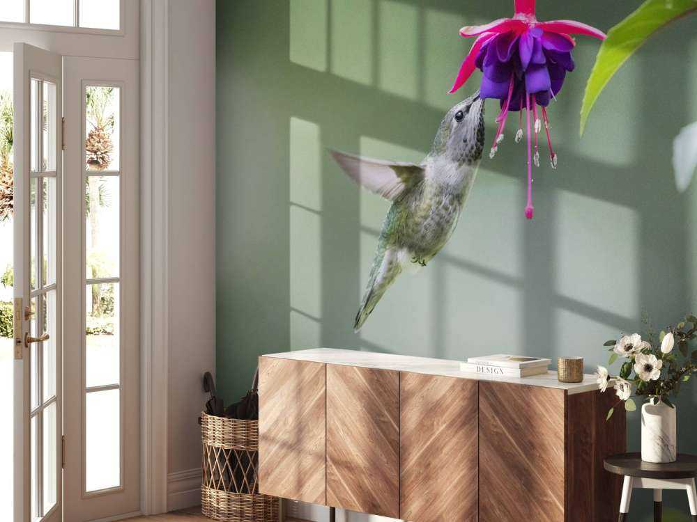 Hummingbird drinking