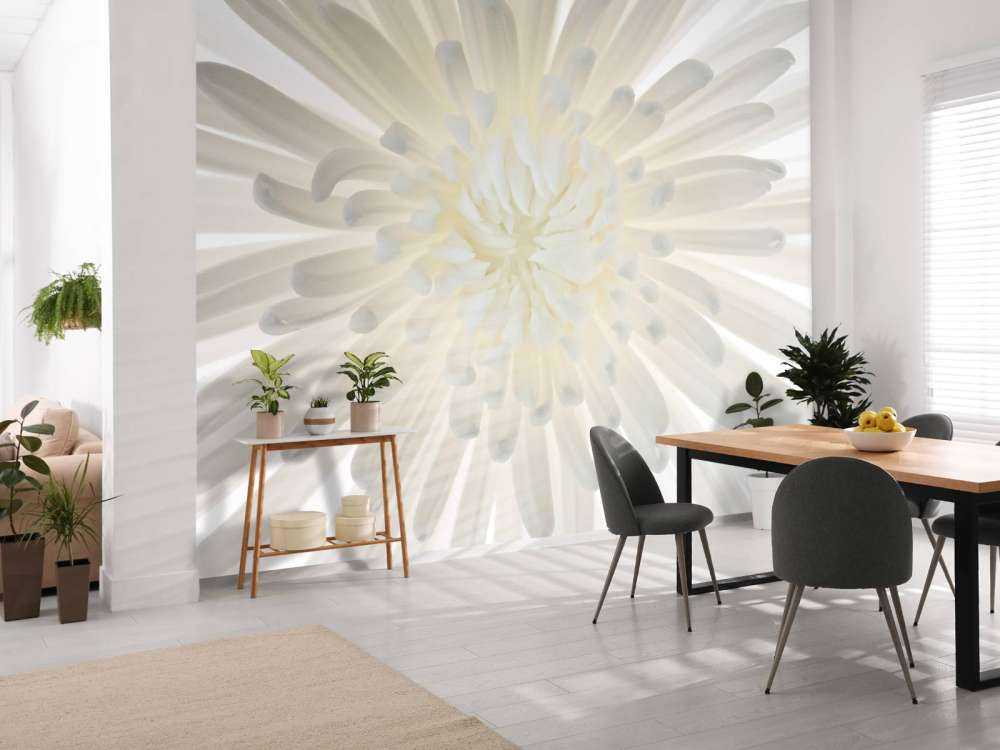 Chrysanthemum