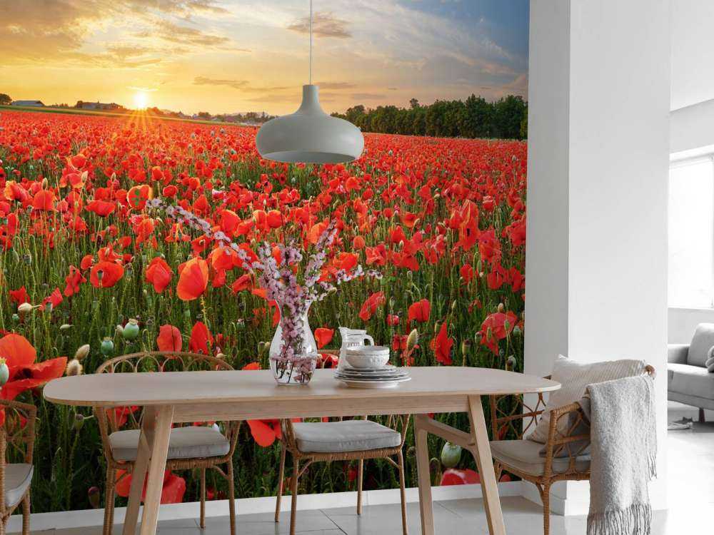 Sunset with poppies