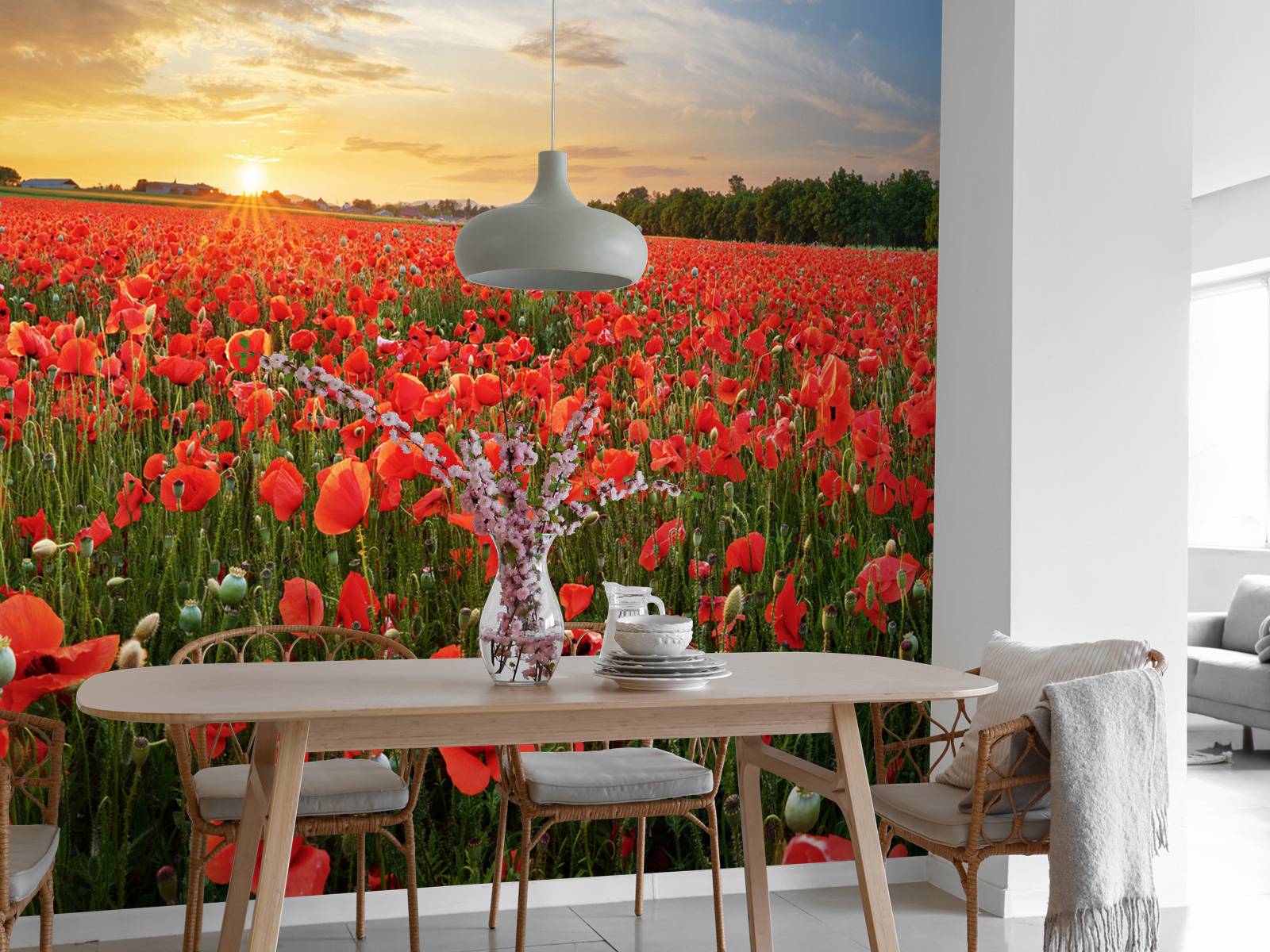 Sunset with poppies