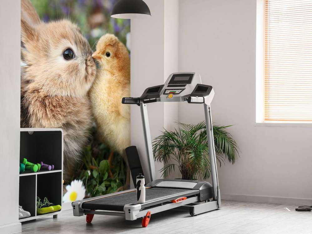 Rabbit and chick