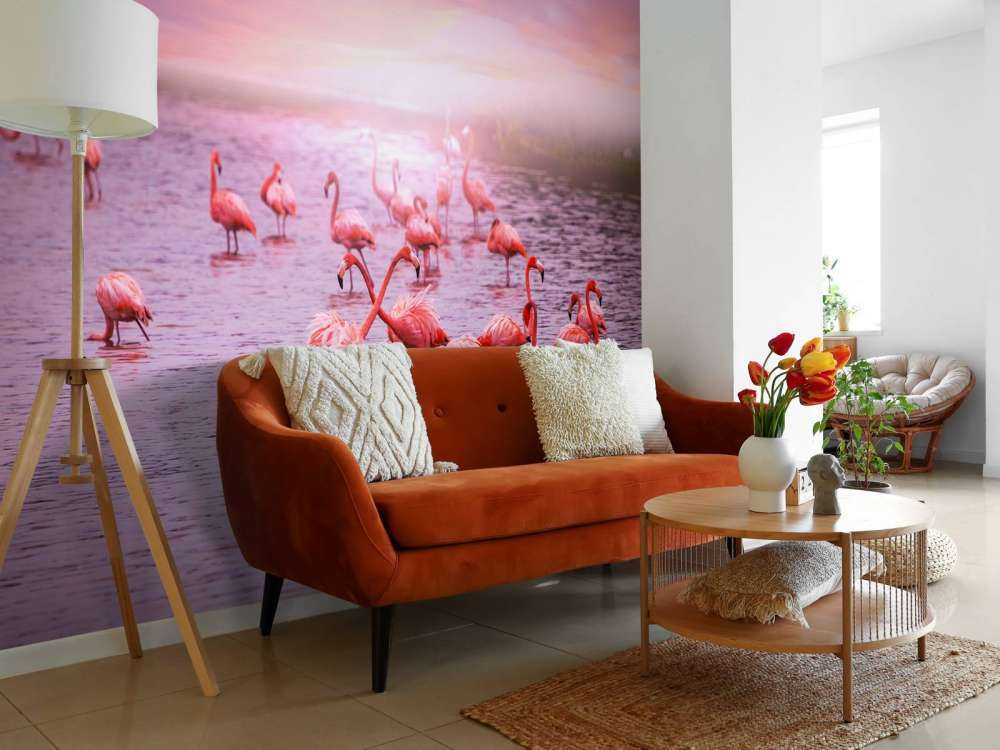 Flamingos with sunset