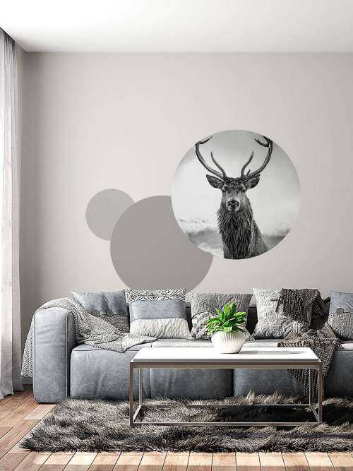Big deer