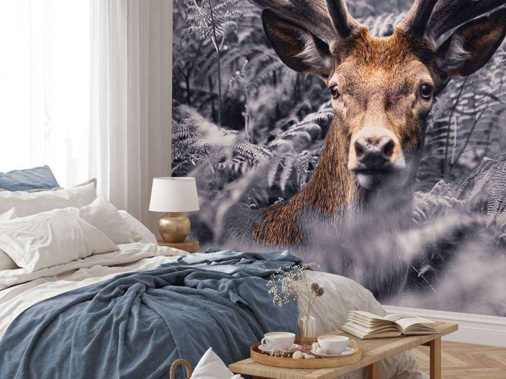 Close-up deer