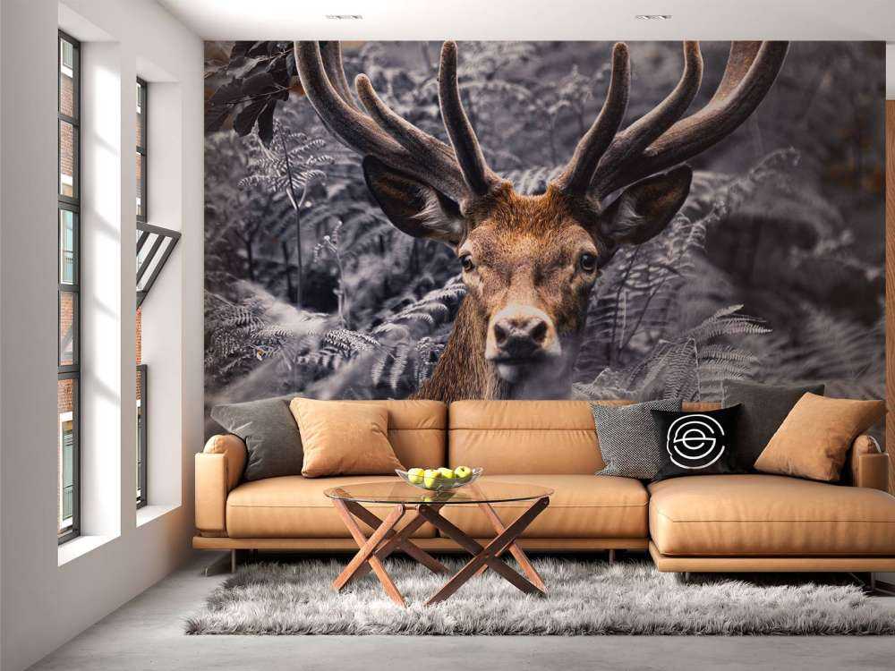 Close-up deer
