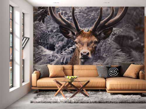 Close-up deer