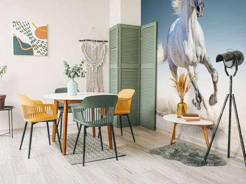 Galloping horse