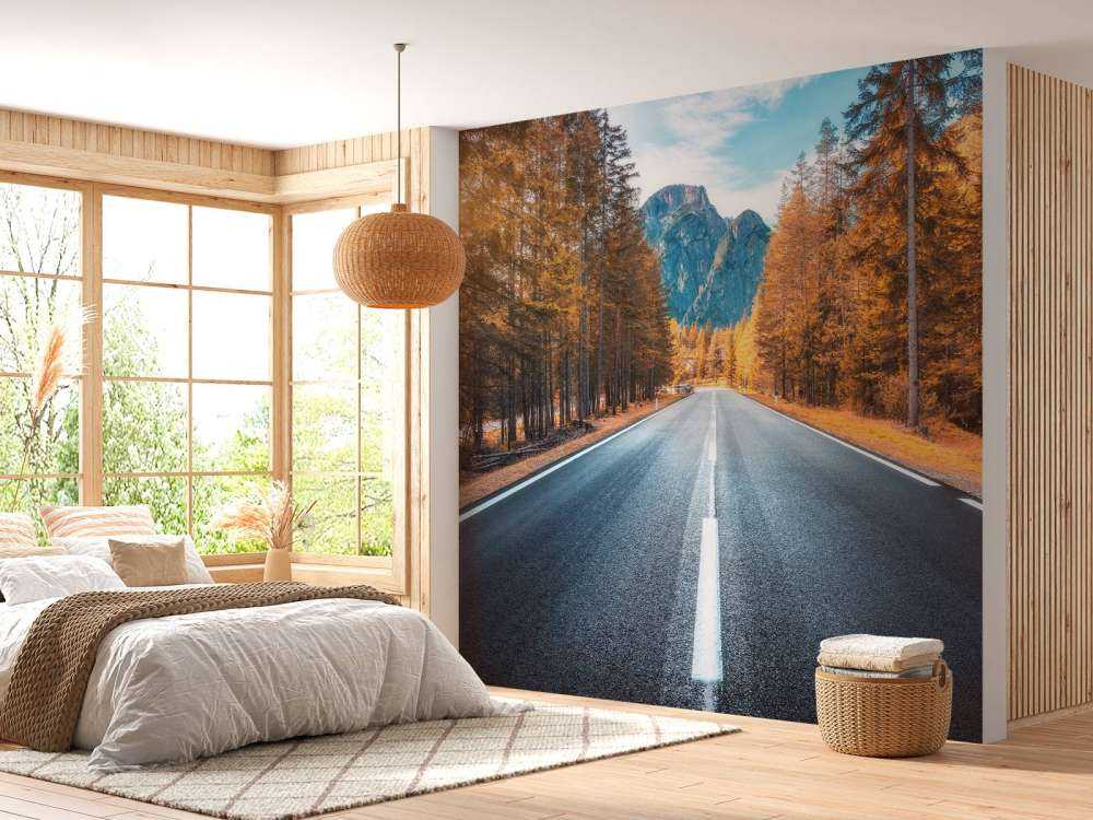 Road in autumn