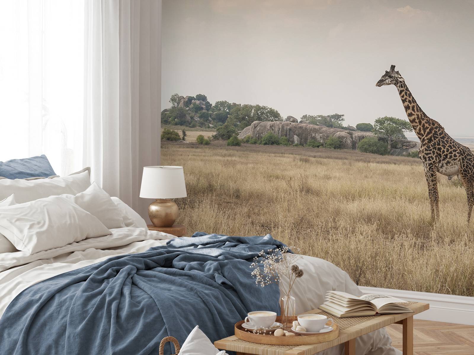 Giraffe on a savannah