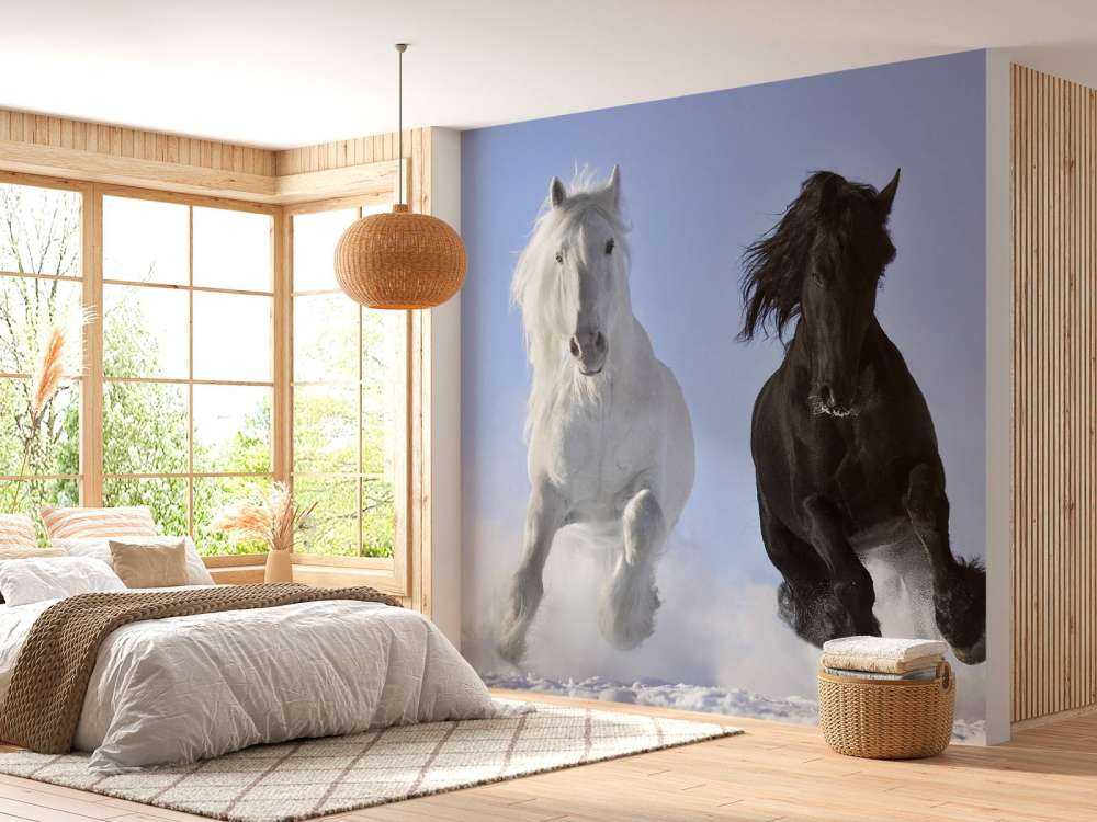 White and a black horse