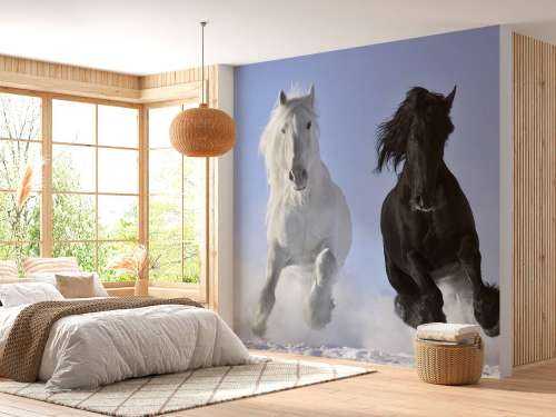 White and a black horse
