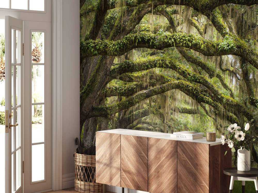 Oak trees