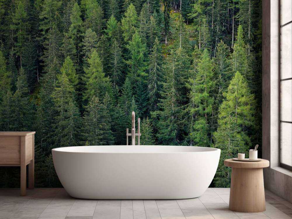 Green spruce forest