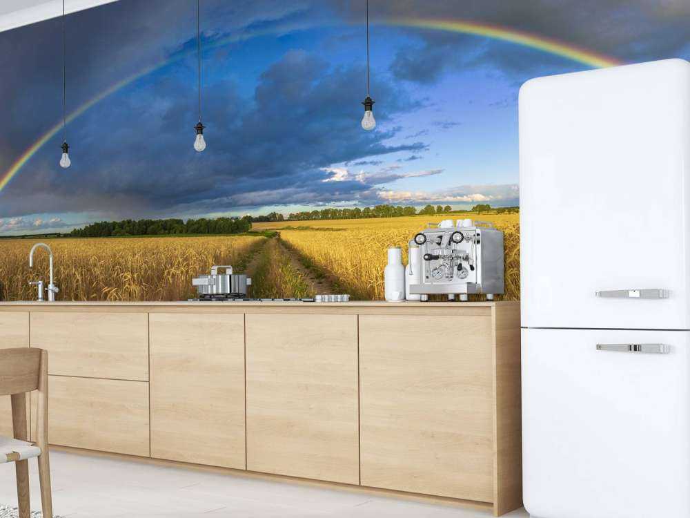 Rainbow over a wheat field