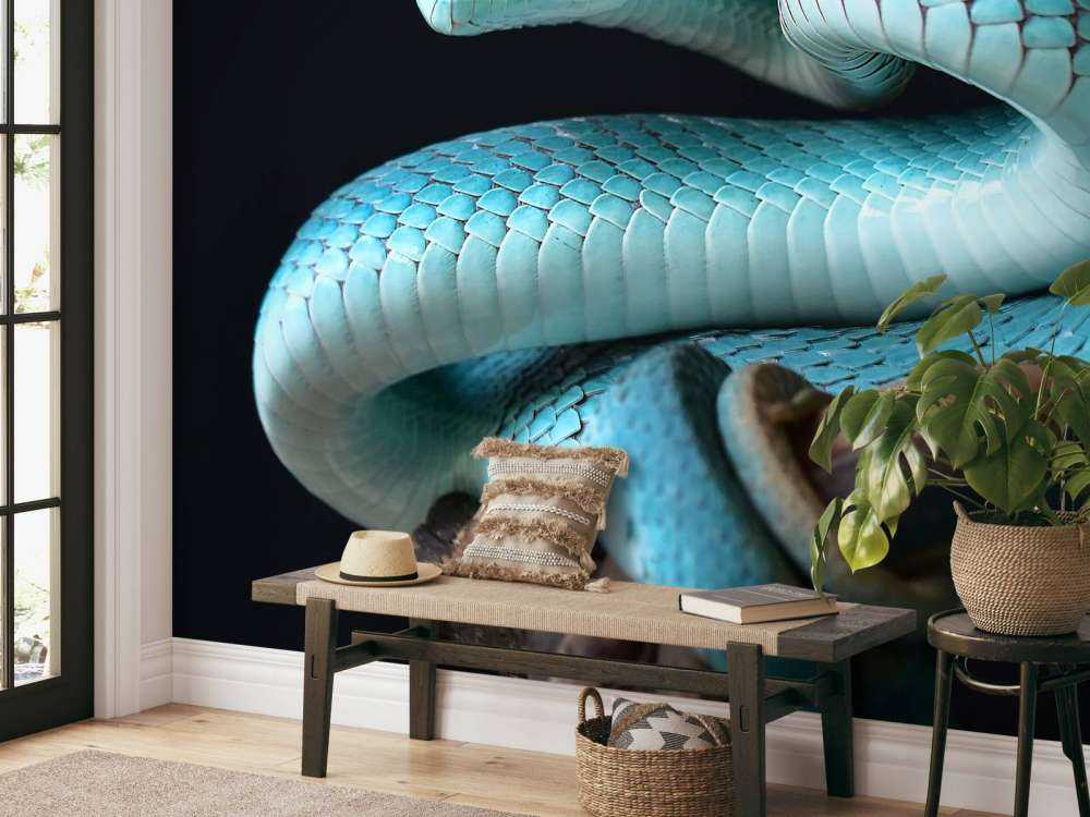 Blue Insular Snake