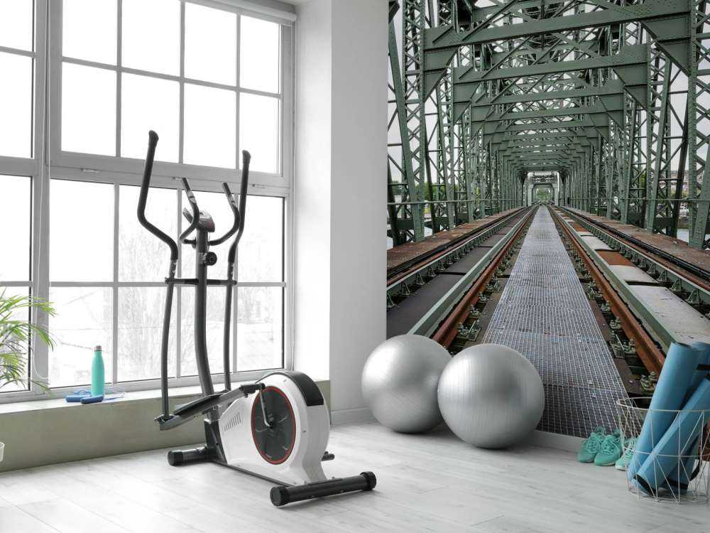 Monumental railroad bridge De Hef in Rotterdam  