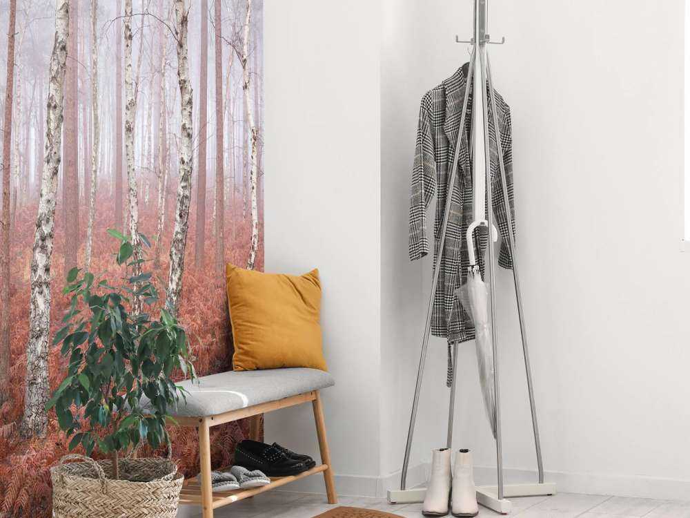 Deserted foggy forest