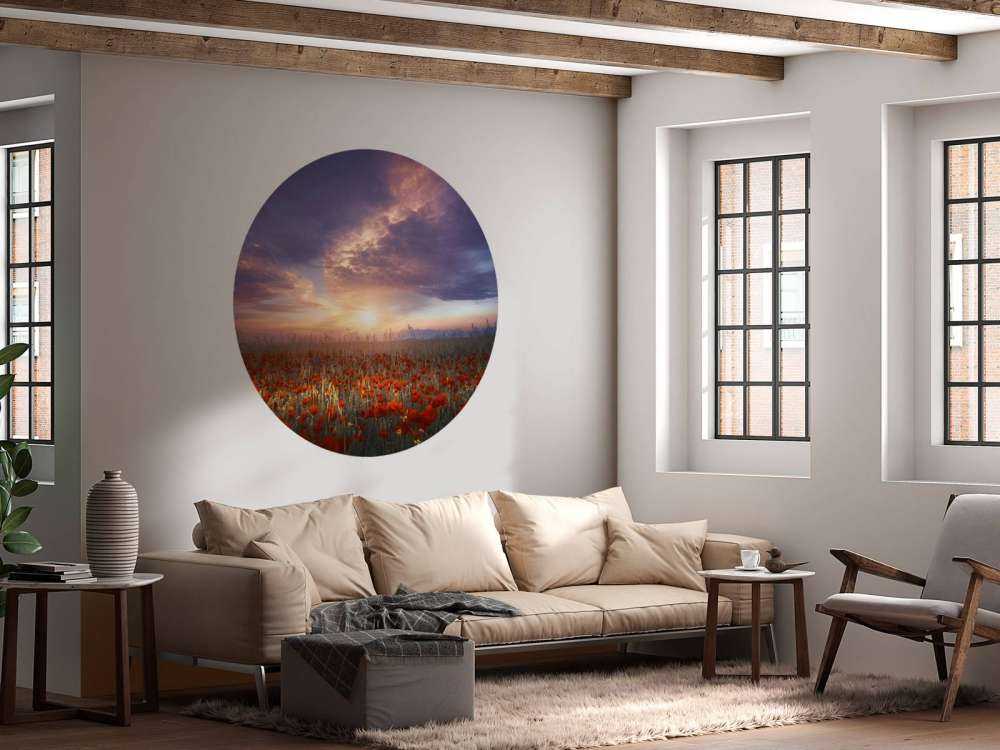 Between color and light