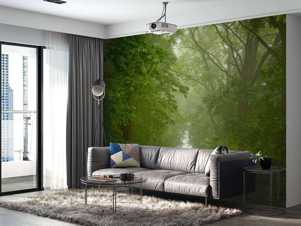 Green forest with misty path